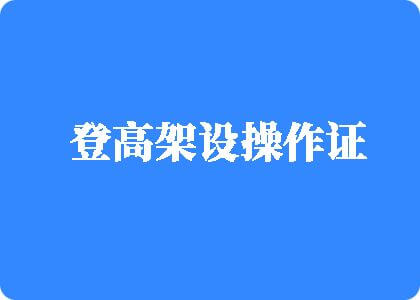 bb在线观看登高架设操作证